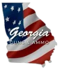 Georgia Guns & Ammo